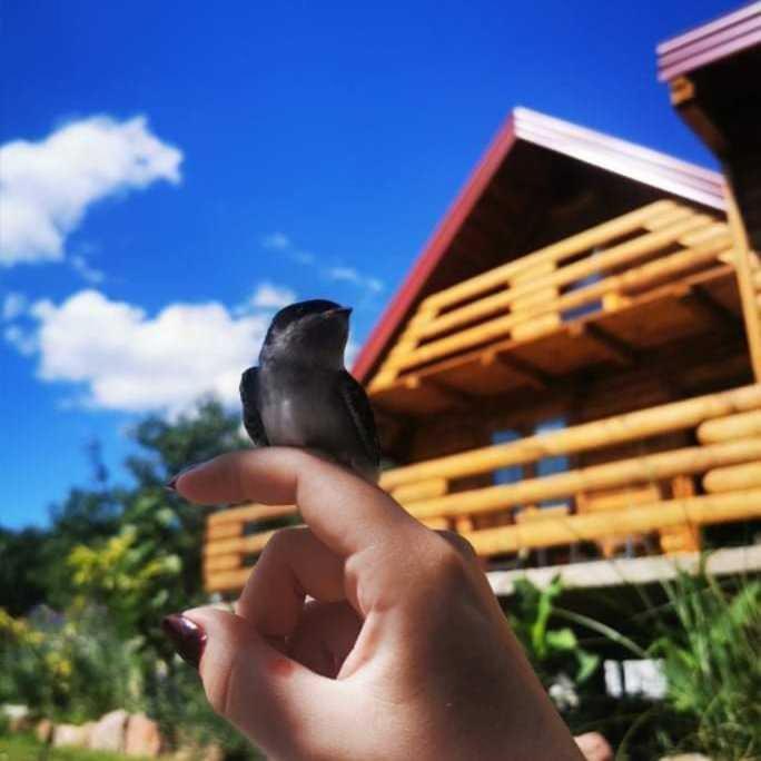 Wooden House "Una" Kulen Vakuf Exterior foto
